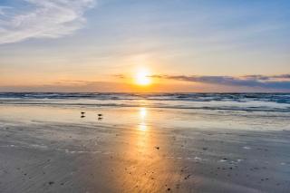 Coastal Nest 207BH - Port Aransas - 2