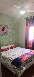 Hostal A La Sombra Del Laurel - Navarrete - 4