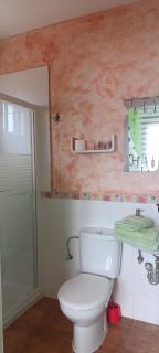 Hostal A La Sombra Del Laurel - Navarrete - 3