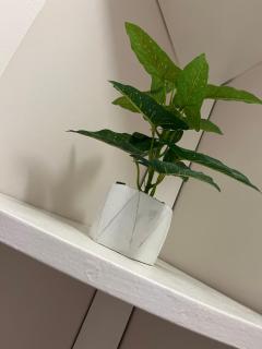 OP Open View เมืองทอง T12 impact muang thong thani - 3