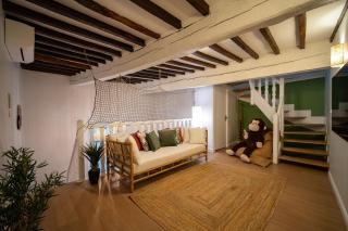 Le Savane - Grand Triplex Climatisé, 2 Salons - Castres - 6