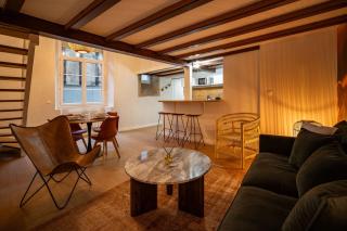 Le Savane - Grand Triplex Climatisé, 2 Salons - Castres - 1