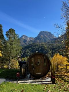 Meis Chalet - Scuol - 6
