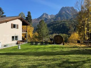 Meis Chalet - Scuol - 5