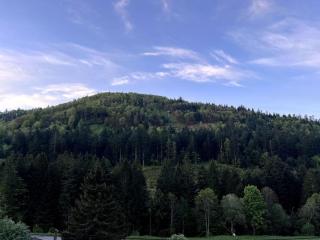 Le Balcon - La Bresse - 5