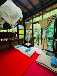 กฤษณาธาราโฮมสเตย์ ป่าเหมี้ยง Kritsanathara Homestay - 1