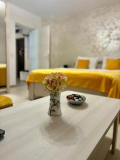 Yan Home Studio - Predeal - 2