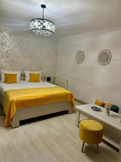 Yan Home Studio - Predeal - 3