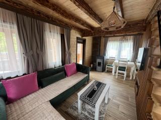 Zagrad Homes in Zabljak - Žabljak - 4