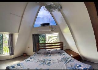 Nisarg farm villa - 4