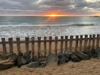 The Avenue - Anglesea - 1