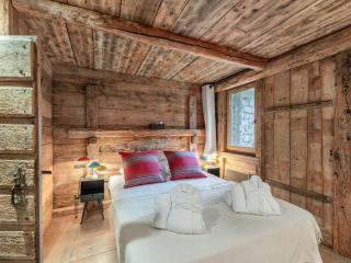 Chalet spacieux, skis aux pieds, cheminée, parking, WiFi - FR-1-565-114 - Les Allues - 1