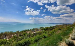 Fenyves Villa Balatonakarattya - 3