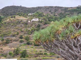 Cozy Izan Drago Apartment in Icod de los Vinos by HRTenerife Net - Icod de los Vinos - 6