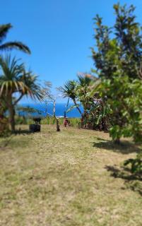 La BBO La Bulle by Baril O'thentik - 4