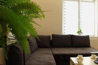 Apartament Centrum Rynek - 6