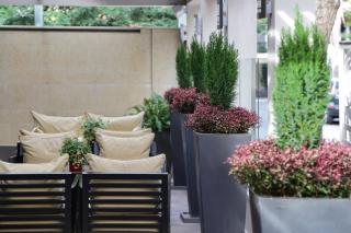 The Y Hotel - Atene - 3