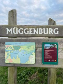Ferienhaus Sturmmöwe Müggenburg - Zingst - 1