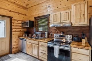 Music Row Cabin - Starkeytown - 1