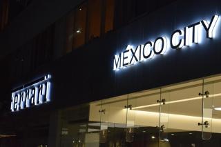 Polanco CARSO SOUMAYA - Città del Messico - 9