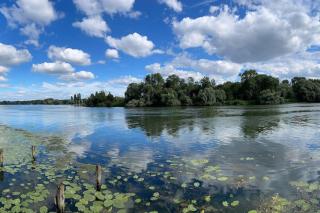 Campagne & bords de Seine - Collection Idylliq - Muids - 6