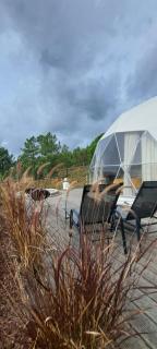 Glamping Casas Eco Natura - 9