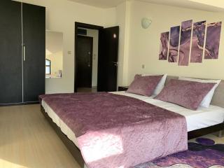 Bansko Spacious Art Apartment with Mountain Views - Bansko - 5