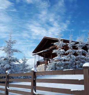 Artem Chalet - Ciocanu - 9