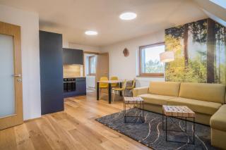 Apartmán Mariana - Bělá pod Pradědem - 6