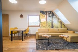 Apartmán Mariana - Bělá pod Pradědem - 4