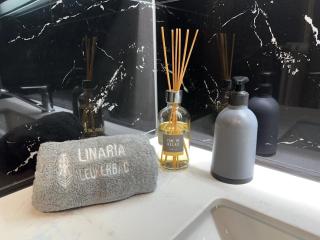 Center, Sauna, View - Haus LINARIA - Leukerbad - 1