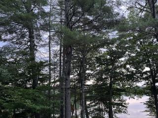 Duncan Cottage - 2