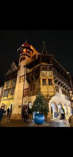 À la petite Venise hyper centre Colmar - Colmar - 1