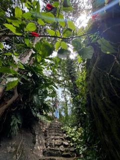 Pousada Olho D'Água - Visconde De Mauá - 6
