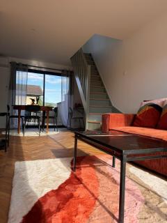maison individuelle avec jardin terrasse proche Lyon croix rousse - Caluire-et-Cuire - 5