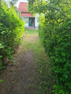 Stort landsted med egen strand - 9