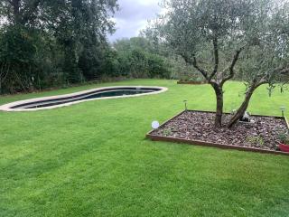 Cabanya en plena natura - 7