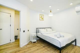 Nizami Street Dupleks 3 bedroom - Baku - 1