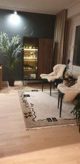Spacious city centre apartment , sauna - 8