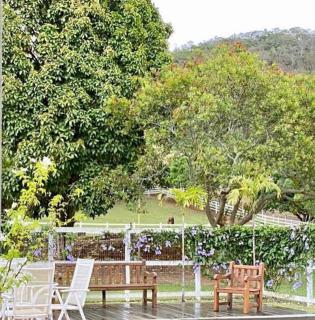 Fazenda da Palha - Cantagalo - 9
