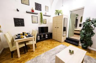 Old Fashion Downtown Parlament Apartment - Budapest - 8