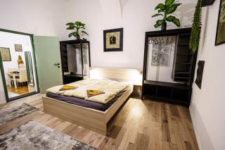 Old Fashion Downtown Parlament Apartment - Budapest - 9