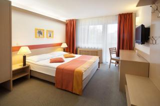Garni Hotel Savica - Sava Hotels & Resorts - Bled - 9