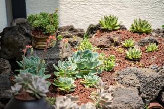 Hyeopjae Seaside & Forest - 7