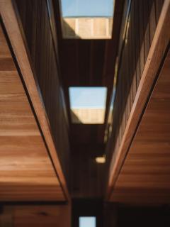 The Tailored Pod - A Compact Oasis - Lewisham - 3