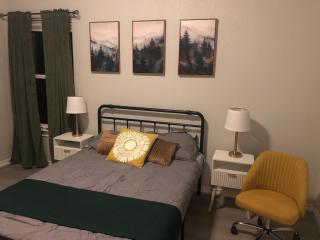 4722 Modern Comforts in San Antonio - San Antonio - 4