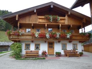Bichlhof Riedenberg - Thiersee - 6
