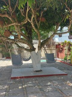 Residencial Branca Tropical - Coroa Vermelha - 2