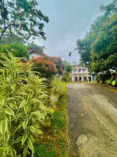 Shadow Homestay - 5