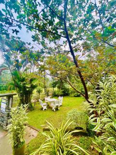 Shadow Homestay - 3